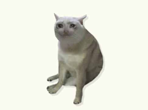 Cash Cat(CASHCAT) 로빈후드 밈코인 시황과 전망